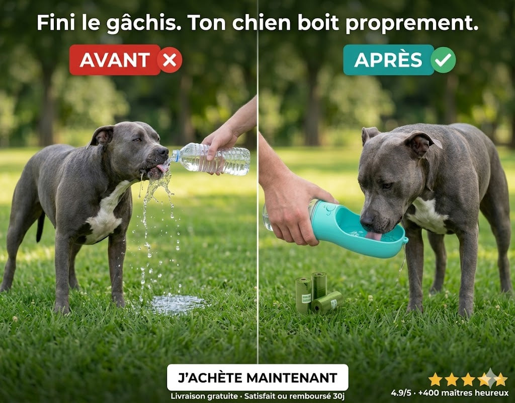 Bouteille d'eau portable pour animaux - Hydratez vos compagnons partout !